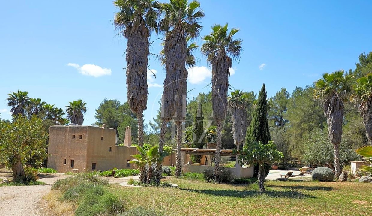 Traditional Finca in Sal Lorenzo